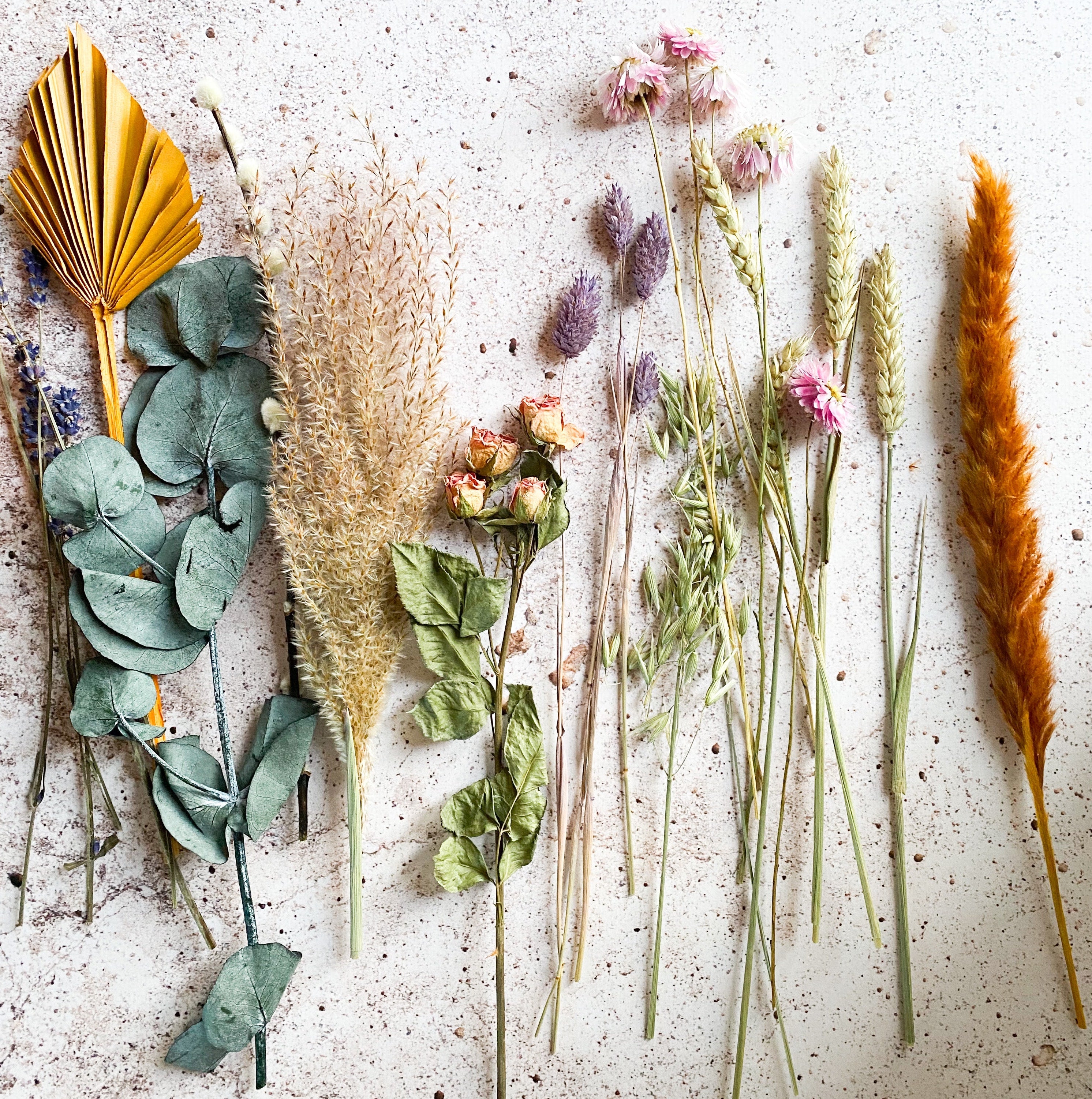 Aromatic, Herbal, Evergreen & Fougères Perfumes & Colognes Tagged