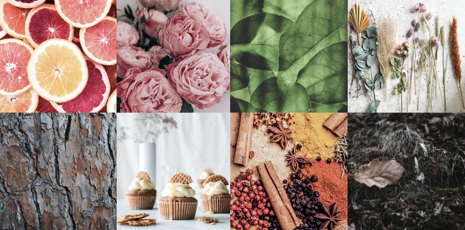 Photo depicting a range of materials: citrus, flowers, leaves, herbs, woods, cupcakes and spices  