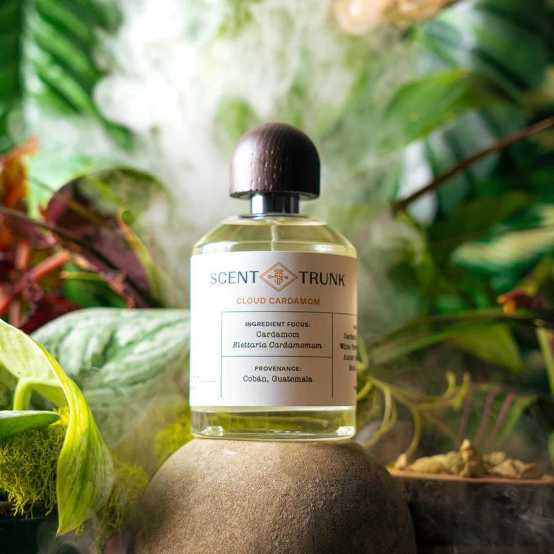Cloud Cardamom by Mauricio Garcia x Scent Trunk | Ministry of Scent