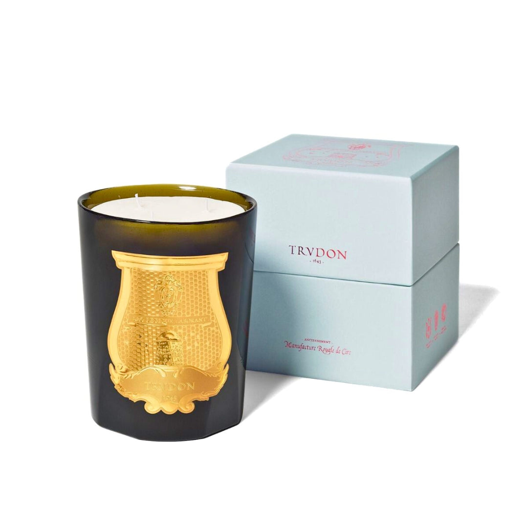 Ernesto Candle by Trudon | Ministry of Scent
