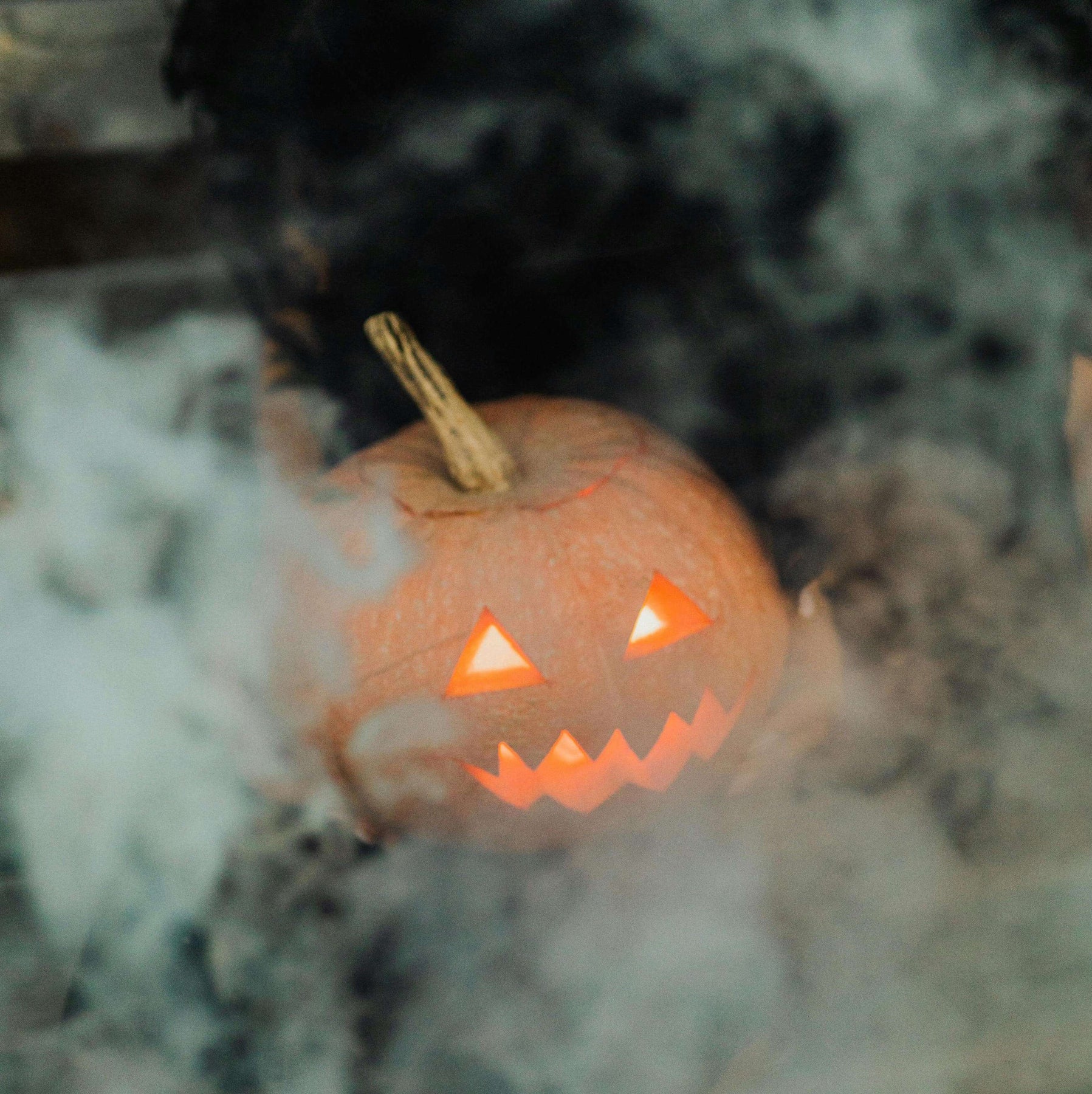 Halloween Sample Set Ministry of Scent