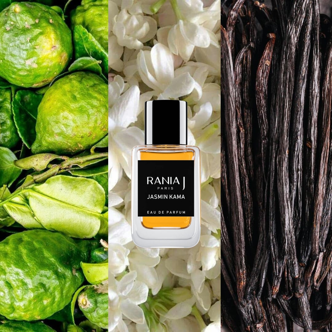 Jasmin Kama by Rania J. | Ministry of Scent