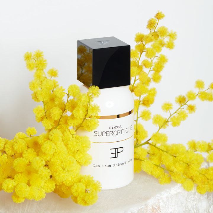 Mimosa Supercritique by Les Eaux Primordiales | Ministry of Scent