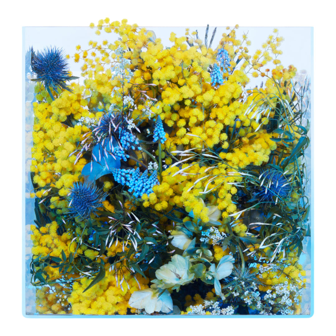 Mimosa Supercritique by Les Eaux Primordiales | Ministry of Scent
