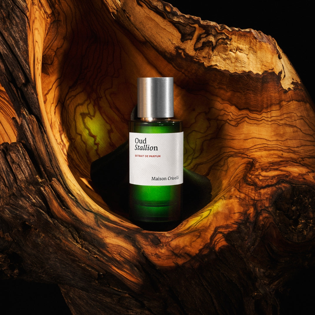 Oud Stallion Extrait by Maison Crivelli | Ministry of Scent