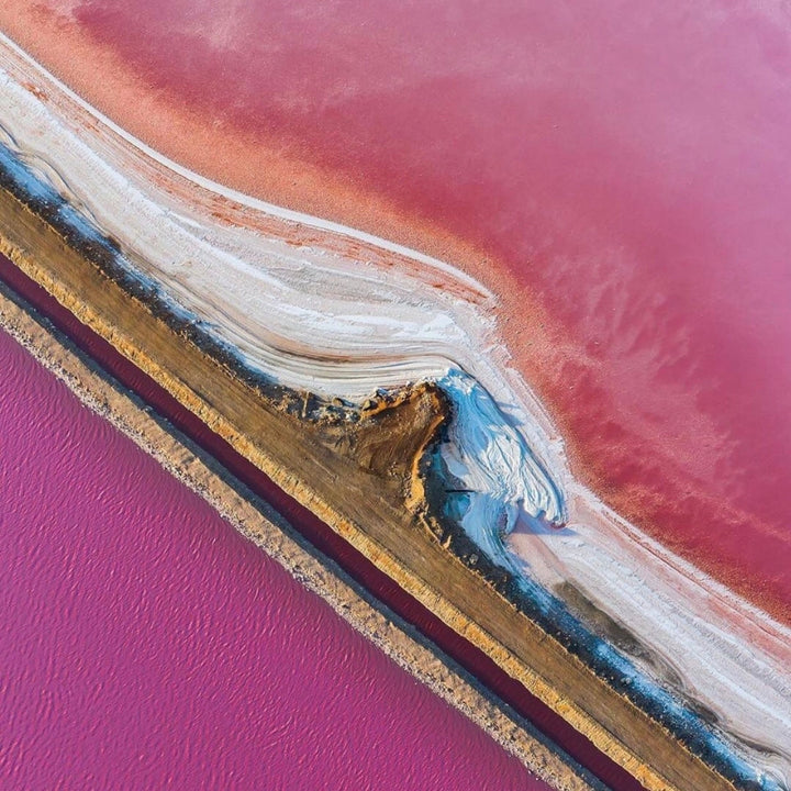 Rose Saltifolia by Maison Crivelli | Ministry of Scent