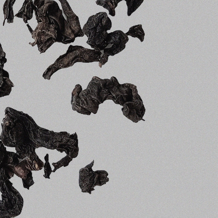 Oolong Tea Eau de Parfum by One Day ◦ One Day Tea Exclusive