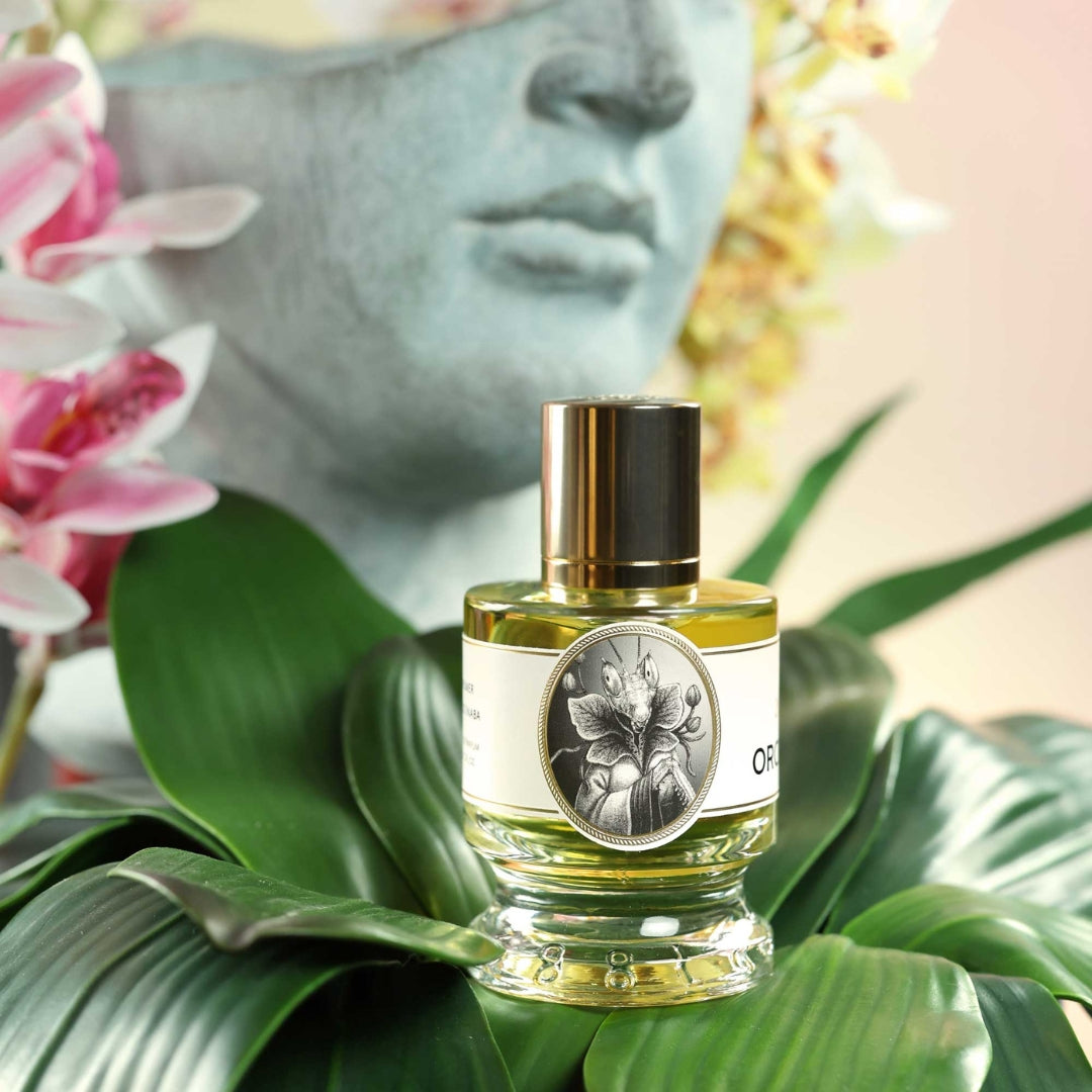 Orchid Mantis by Zoologist | Ministry of Scent