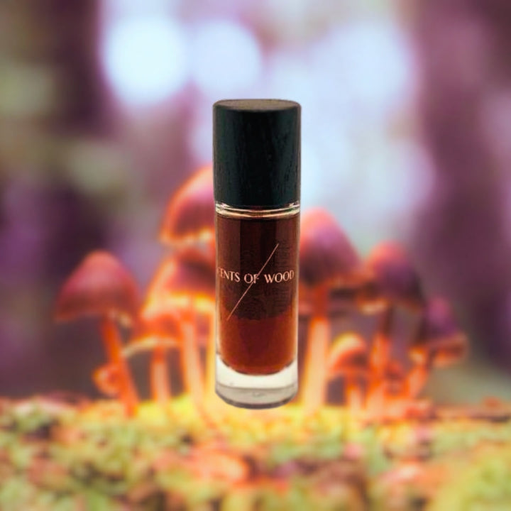 Mycelium_in_Chestnut-