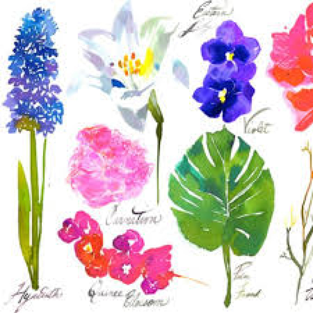 St. Regis Caroline's Four Hundred Room Spray by Arquiste